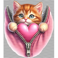 Valentine's Day-QRJ  2439